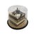 Cakerie Triple Chocolate Tiger Baby Cake