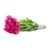 SB Colorful Blossom Bouquet