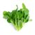 Cold Turnip Greens