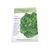 Botannical Interest Lettuce Romaine Parris Island Cos Certified Organic Heirloom Seeds