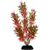 Petco Red & Green Foreground Aquarium Plant