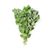 Organic Oregano