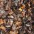 Frontier Organic Cut & Sifted Seedless Rosehips