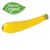 Yellow Squash