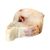 Fresh Wild-Caught Cod Steak