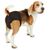 SoPhresh Medium Washable Dog Diapers