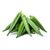 Okra