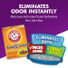 Arm & Hammer Double Duty Litter Deodorizer