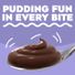 Jell-O Chocolate Pudding & Pie Filling Mix