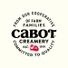 Cabot Seriously Sharp Cheddar Cheese Block, 8 oz