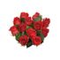 Bloom Haus Red Roses