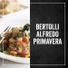 Bertolli Alfredo Sauce with Aged Parmesan Cheese, Made with Fresh Cream and Real Butter, 15 oz (Pack of 3)