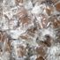 Bulk Candy