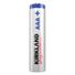 Kirkland Signature Alkaline AAA Plus Batteries