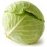 Green Cabbage