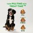 GREENIES Pill Pockets Chicken Flavor Dog Treats
