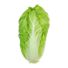 Organic Romaine Lettuce