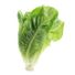 Romaine Lettuce Heart