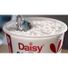 Daisy Classic 4% Milkfat Small Curd Cottage Cheese