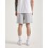 I Fe Apparel Fleece Shorts, XL