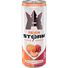Reign Storm Peach Nectarine, Fitness & Wellness Energy Drink, 12 Fl Oz