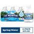 ICE MOUNTAIN Natural Spring Water
