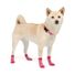 Dog Socks