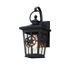 Allen + Roth Tx Medium Base Outdoor Wall Lantern