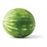 Seedless Watermelon