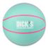 DICK'S Sporting Goods Mini Basketball