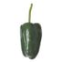 Poblano Pepper