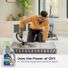 Bissell Urine Eliminator, Pet Pro, Oxy