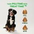 GREENIES Pill Pockets Peanut Butter Flavor Capsule Size Dog Treats