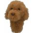 Daphne's Headcovers Labradoodle Dog Golf Driver Headcover