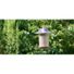 Red River Commodities Hello Birds Bird Seed