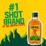 Fireball Blazin' Apple, 200ml 66 Proof