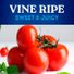 Roma Tomato