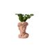 LiveTrends Summer Collection Ceramic Pot - Florentine - Greenhouse Picks