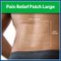 Salonpas Pain Relief Patch, Large