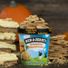 Ben & Jerry's Ice Cream Pumpkin Cheesecake