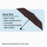 Rainbrella Dotted Auto Umbrella