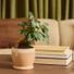 LiveTrends Designs Retrospect Assorted Foliage