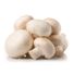White Mushroom