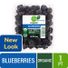 Blueberries Package