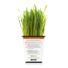 Pet Greens Original Wheat Grass Certified Organic Pet Grass Gluten Free