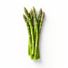 Local Asparagus