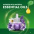 Air Wick Essential Oils Lavender & Chamomile Fragrance Refills
