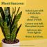 Miracle-Gro Indoor Potting Mix