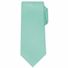 Bespoke Apothecary Men's Solid Tie - Mint Sateen