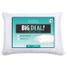 Springs Home Big Deal Pillows